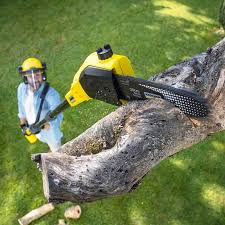 Best Sod Installation  in Atwater, CA