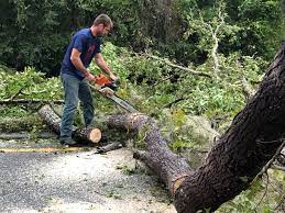 Best Commercial Tree Services  in Atwater, CA