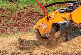 Best Arborist Consultation Services  in Atwater, CA