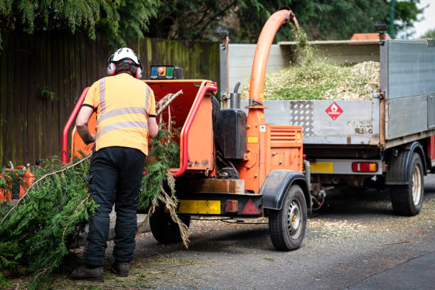 Best Utility Line Clearance  in Atwater, CA
