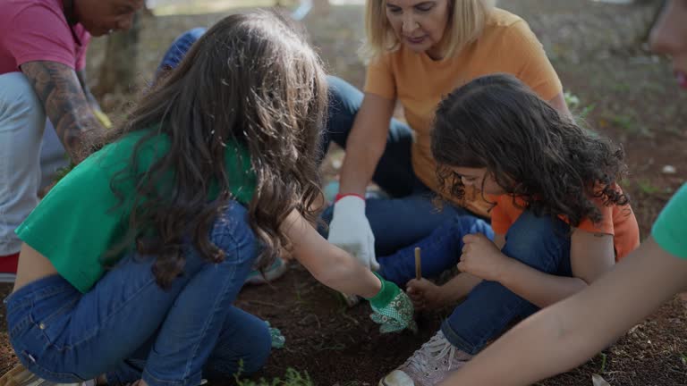 How Our Tree Care Process Works  in  Atwater, CA