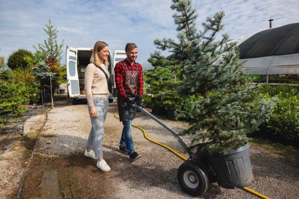 How Our Tree Care Process Works  in  Atwater, CA