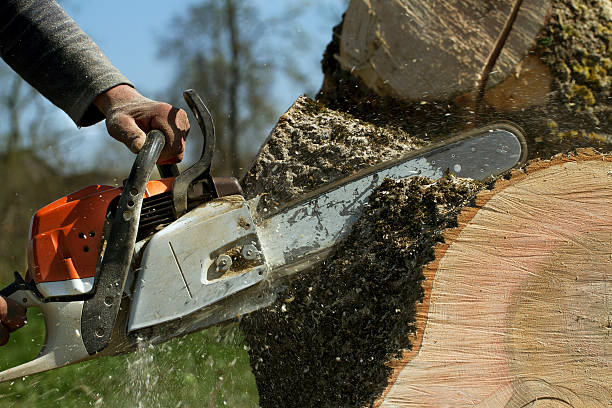 Best Emergency Tree Removal  in Atwater, CA